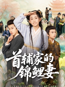 短剧首辅家的锦鲤妻海报