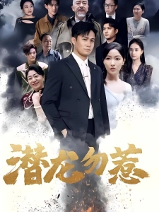 短剧潜龙勿惹海报