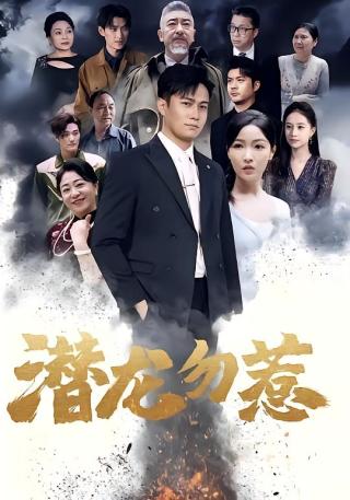 短剧潜龙勿惹海报