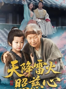 短剧天降雷火照慈心海报