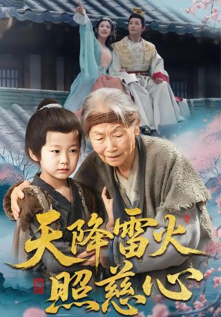 短剧天降雷火照慈心海报