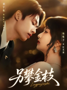 短剧另攀金枝海报