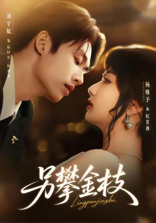 短剧另攀金枝海报