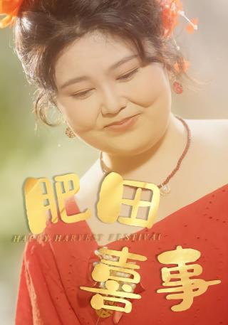 短剧肥田喜事海报