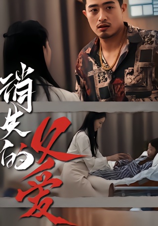 短剧消失的父爱海报