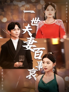 短剧一世夫妻百事哀海报