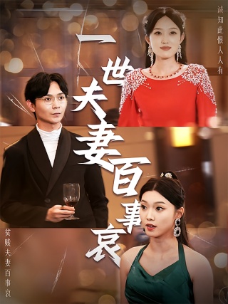 短剧一世夫妻百事哀海报