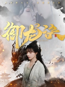 短剧御龙诀海报