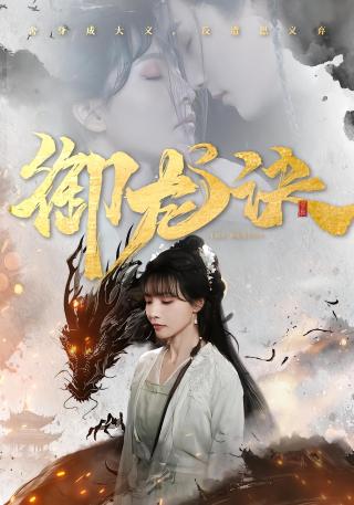 短剧御龙诀海报