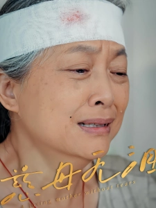 短剧慈母无泪海报