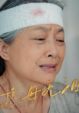 短剧慈母无泪海报