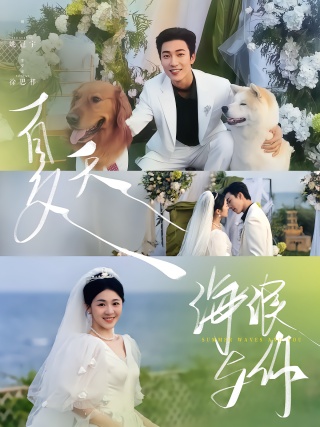 短剧夏天，海浪与你海报