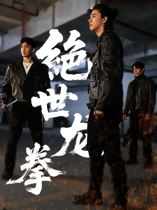 短剧绝世龙拳海报