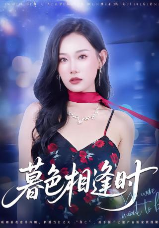 短剧暮色相逢时海报