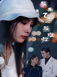 短剧燕南飞，燕难归海报