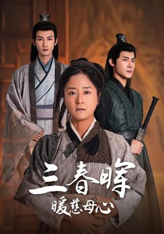 短剧三春晖暖慈母心海报