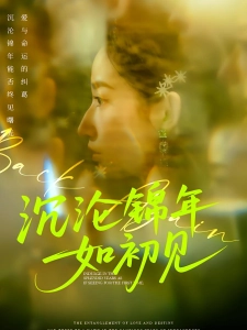 短剧沉沦锦年如初见海报