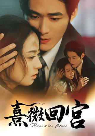 短剧熹微回宫海报