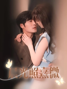 短剧晨光照熹微海报