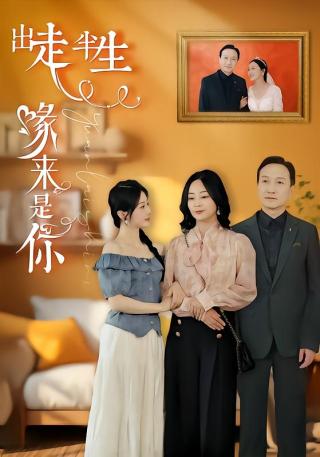 短剧出走半生缘来是你海报