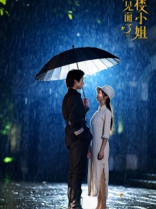 短剧又见面了楼小姐海报