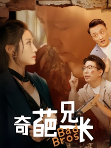 短剧奇葩兄长海报