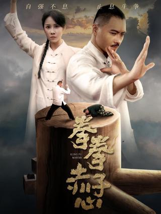 短剧拳拳赤子心海报