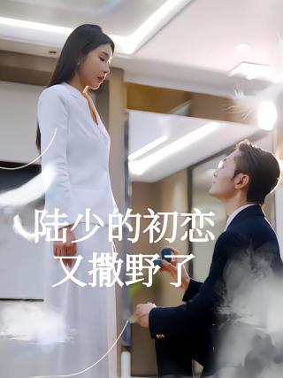 短剧陆少的初恋又撒野了海报