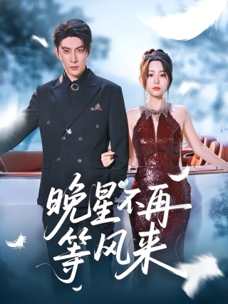 短剧晚星不再等风来海报