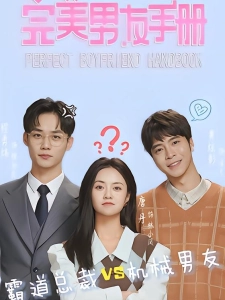 短剧完美男友手册海报