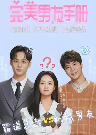 短剧完美男友手册海报
