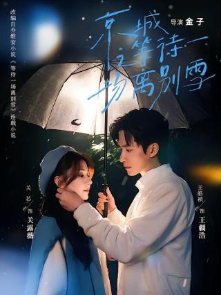 短剧京城之等待一场离别雪海报