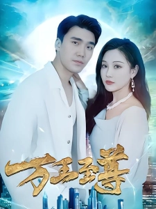 短剧万王至尊海报