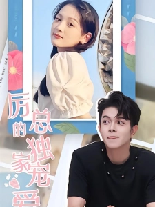 短剧厉总的独家宠爱海报