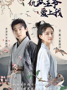 短剧仇敌王爷爱上我海报