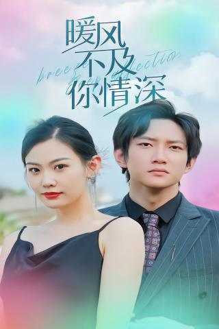 短剧暖风不及你情深海报