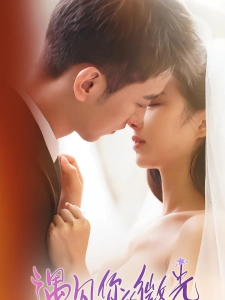 短剧遇见你的微光海报