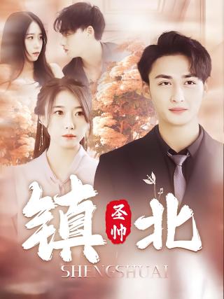 短剧镇北圣帅海报