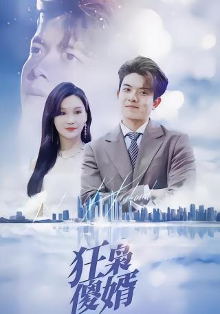 短剧狂枭傻婿海报