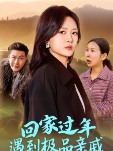 短剧回家过年遇到极品亲戚海报