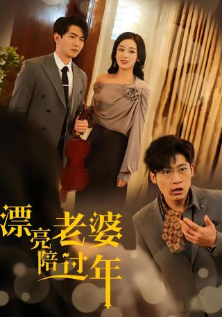 短剧漂亮老婆陪过年海报