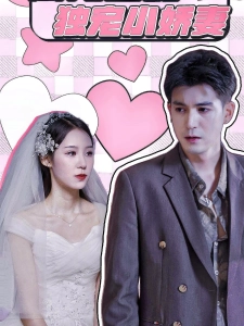 短剧商先生的独宠小娇妻海报