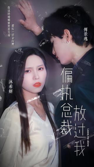 短剧偏执总裁放过我海报