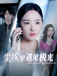 短剧尘埃里遇见极光海报