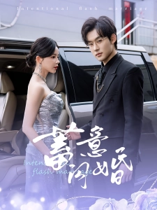 短剧蓄意闪婚海报