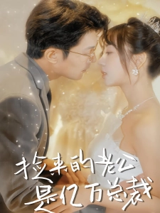 短剧捡来的老公是亿万总裁海报