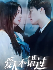 短剧爱人不错过海报