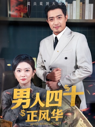 短剧男人四十正风华海报