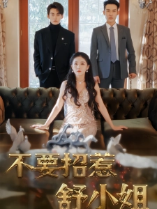 短剧不要招惹舒小姐海报