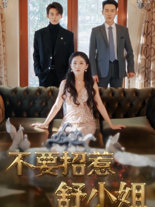 短剧不要招惹舒小姐海报